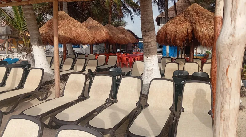 Beach loungers under palapa umbrellas at our Mahahual beach club