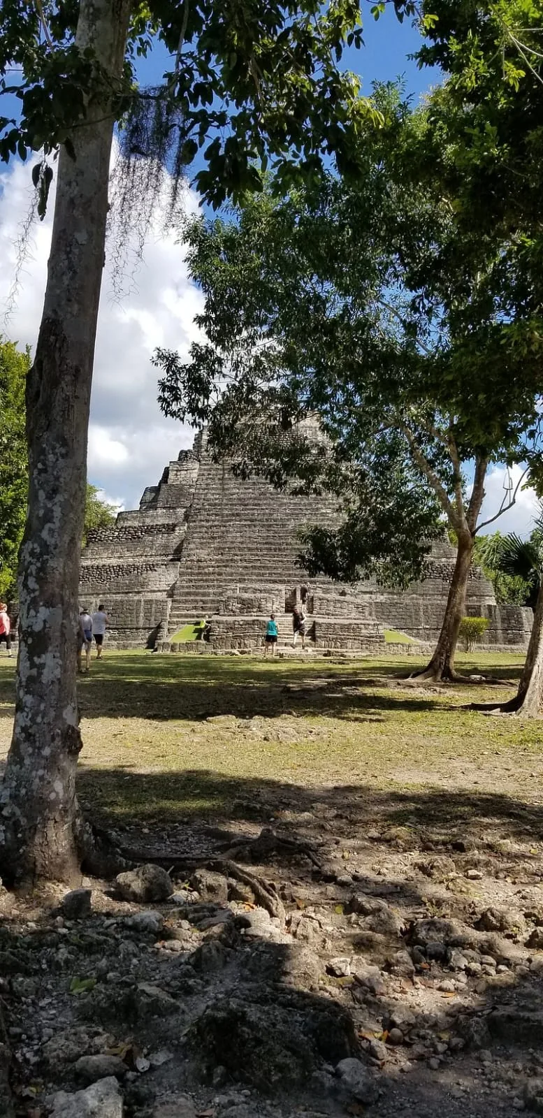 Mayan structure among the trees at Chacchoben