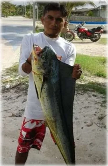 Fisherman holding a mahi-mahi caught off Mahahual