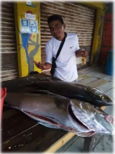 The day catch laid out after a deep sea fishing trip in Costa Maya