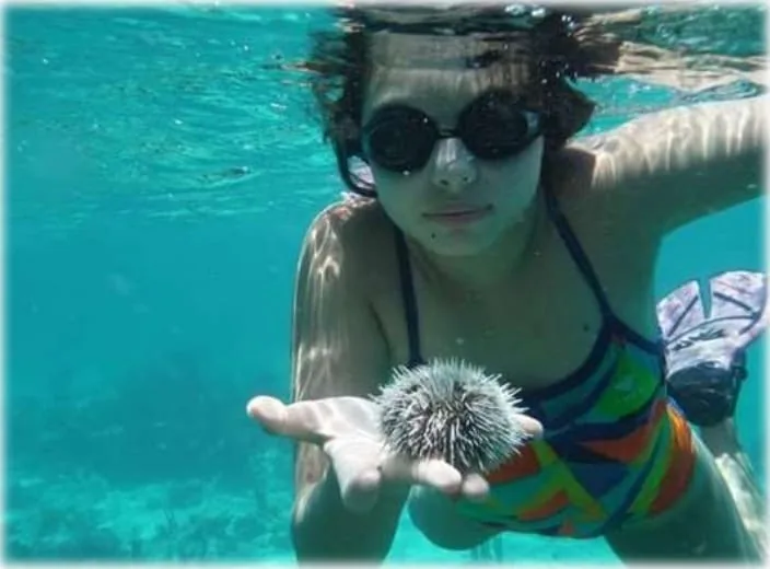 Snorkeler holding a sea urchin in the crystal water of Mahahual